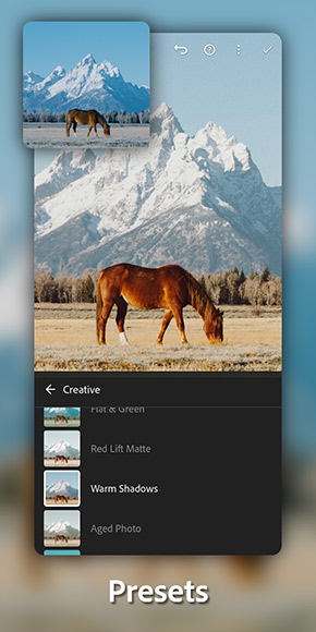 Adobe Lightroom app, screenshot 1