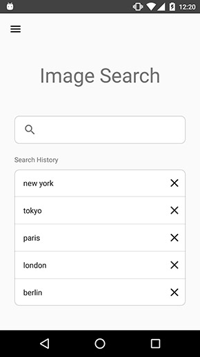 ImageSearchMan app, screenshot 1