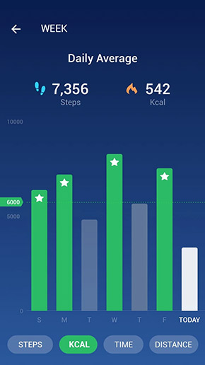 Step Counter app, screenshot 2