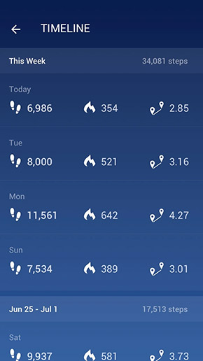 Step Counter app, screenshot 5